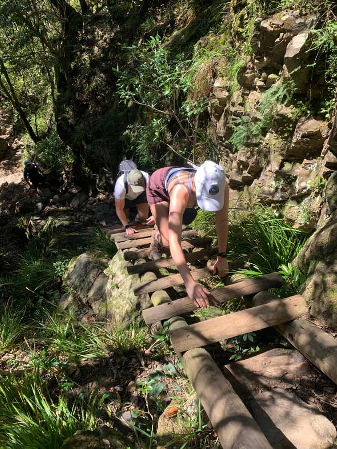 Cape Town: Skeleton Gorge and Kirstenbosch Gardens Hike - Timing, price, and what you actually receive