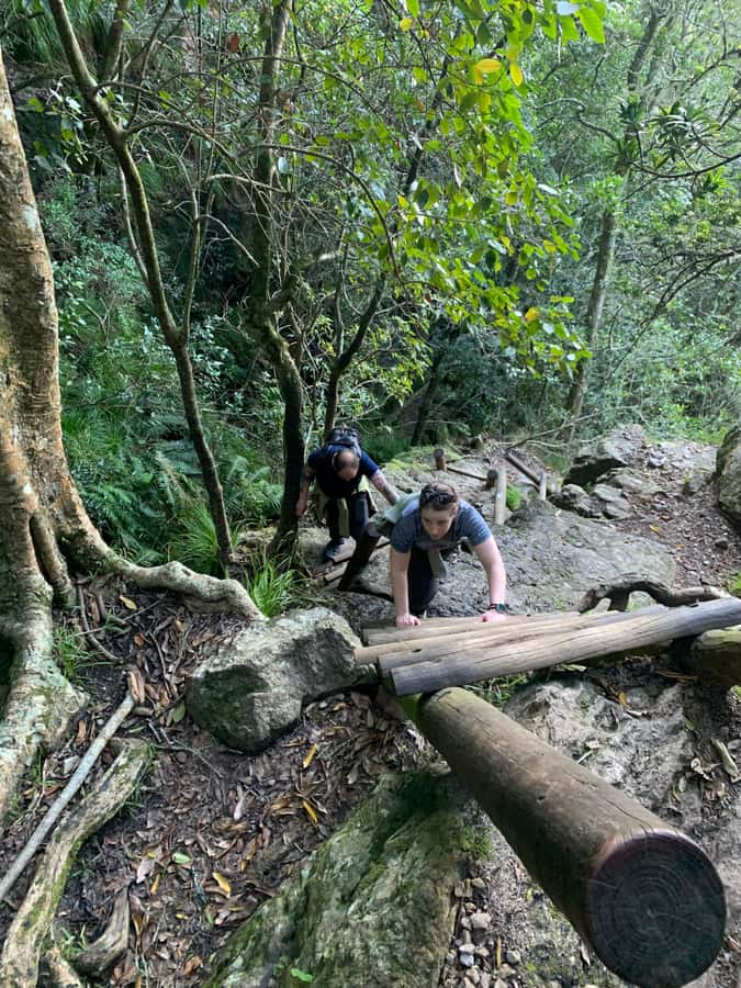 Cape Town: Skeleton Gorge and Kirstenbosch Gardens Hike - The cable car question matters