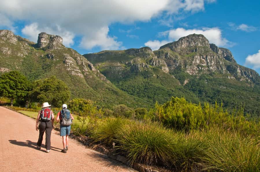 Cape Town: Skeleton Gorge and Kirstenbosch Gardens Hike - Practical preparation before you go