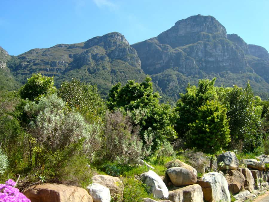 Cape Town: Skeleton Gorge and Kirstenbosch Gardens Hike - The summit payoff: white sand on Table Mountain