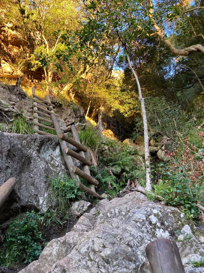 Cape Town: Skeleton Gorge Hike to Table Mountain Summit - What the $112 price really covers