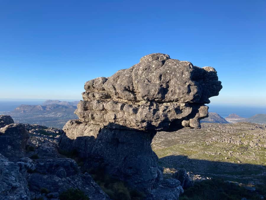 Cape Town: Skeleton Gorge Hike to Table Mountain Summit - Who will enjoy this hike most?