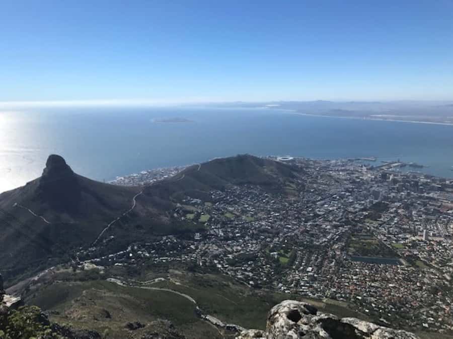 Cape Town: Some Attractions of the Cape (private & exclusiv) - Fynbos gives the Cape its local character