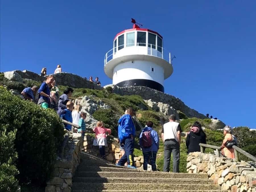 Cape Town: Some Attractions of the Cape (private & exclusiv) - What the $491 price buys you