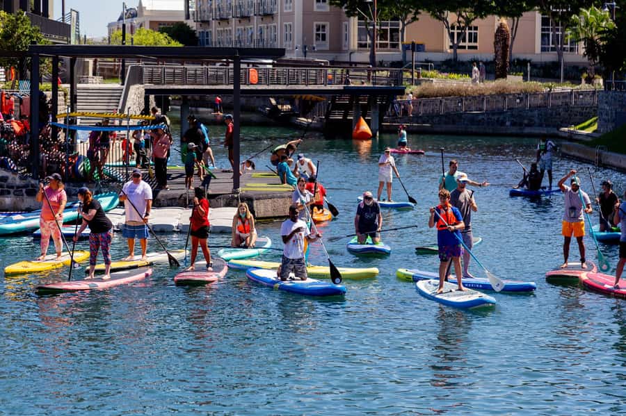 Cape Town: Stand-Up Paddle Board Rental with Basic Training - Paddling Cape Town’s canals for a different view