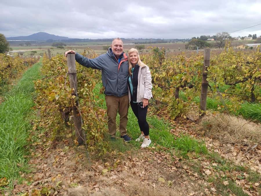 Cape Town: Stellenbosch and Paarl Half-Day Wine Tour - Why this half-day tour works