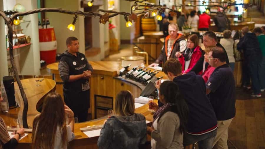 Cape Town: Stellenbosch, Franschhoek and Paarl Wine Day Trip - What the $96 price covers