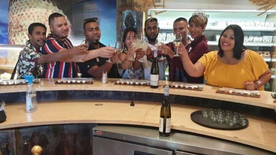 Cape Town: Stellenbosch, Franschhoek and Paarl Wine Day Trip - Starting in Paarl with cheese and a cellar visit