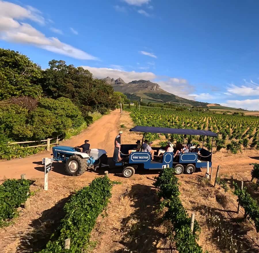 Cape Town: Stellenbosch Hop-On Hop-Off Tractor Transfer - Key points to know before you go