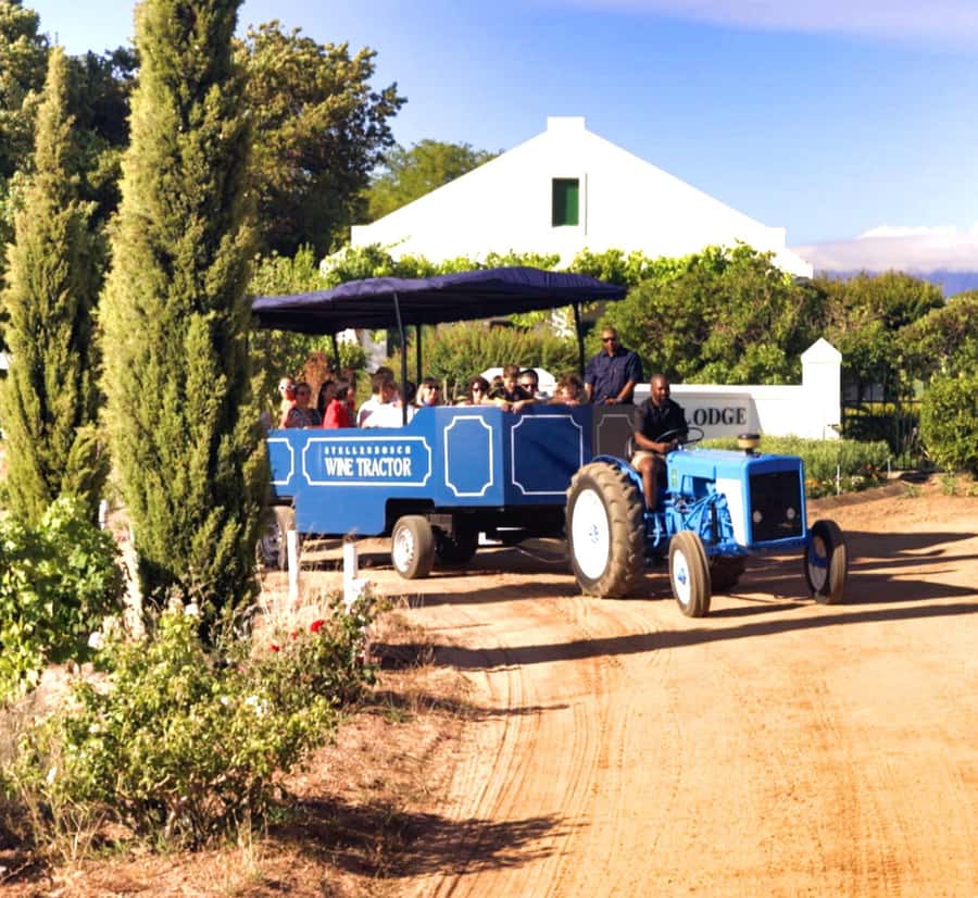 Cape Town: Stellenbosch Hop-On Hop-Off Tractor Transfer - Why the wine tractor makes this different
