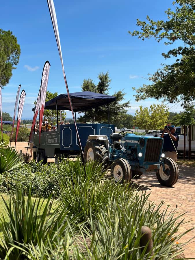 Cape Town: Stellenbosch Hop-On Hop-Off Tractor Transfer - The first tractor ride through the vineyards