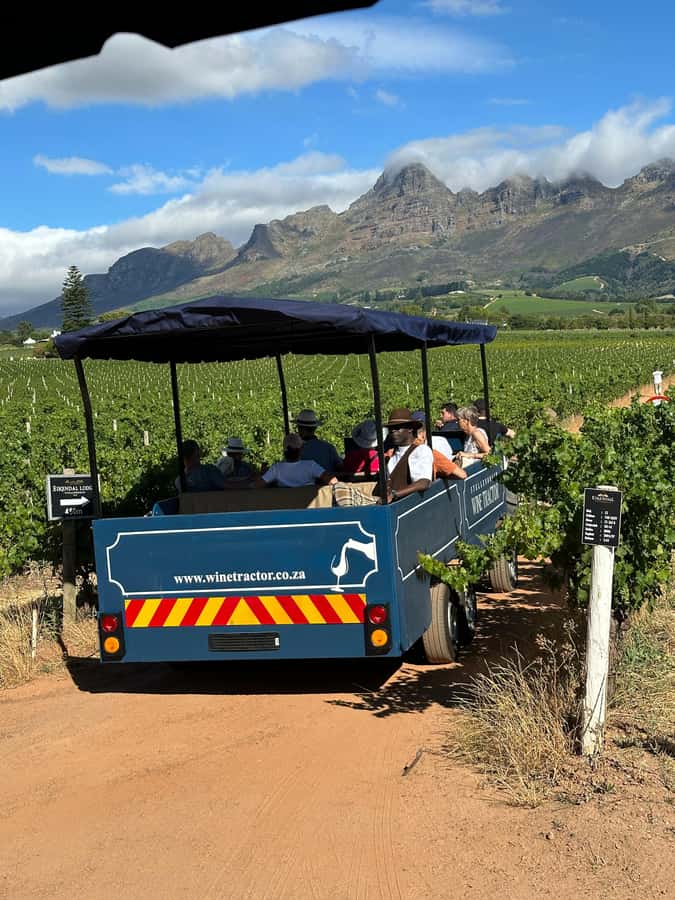 Cape Town: Stellenbosch Hop-On Hop-Off Tractor Transfer - What happens at each wine farm