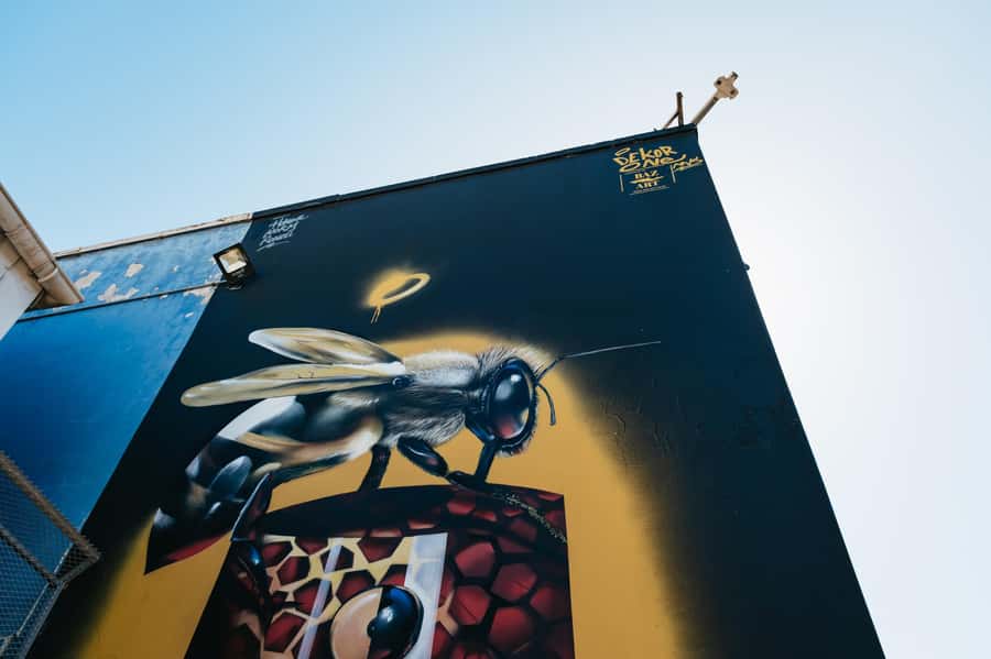 Cape Town: Street Art Walking Tour in Woodstock - Woodstock Brewery and the everyday neighborhood