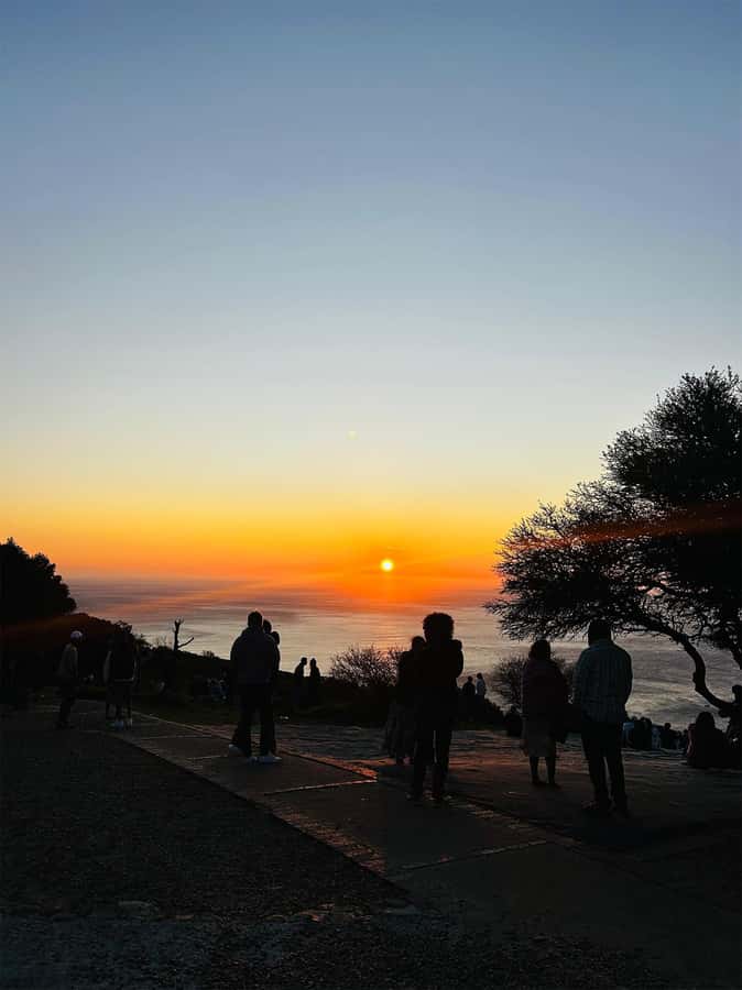 Cape Town: Sunset Bus Tour with Picnic on Signal Hill - Meeting point and booking details