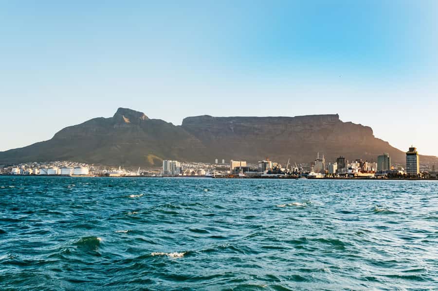 Cape Town: Sunset Catamaran Cruise on Table Bay with Bubbles - Wildlife sightings are a lucky bonus