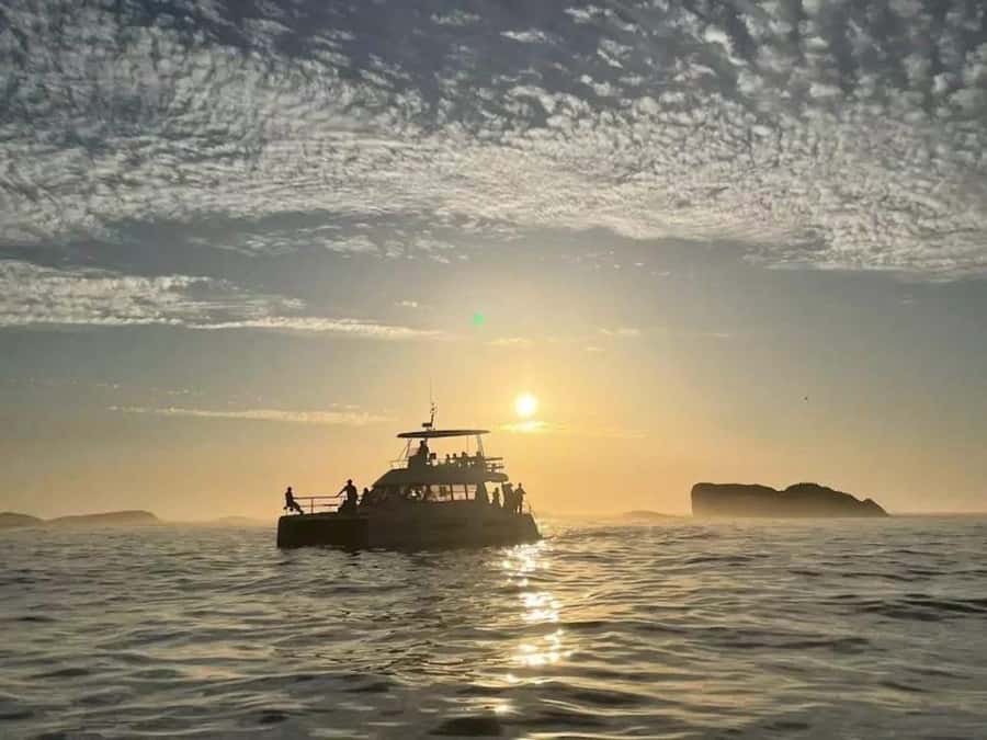 Cape Town: Sunset Champagne Cruise - Key points to know before boarding