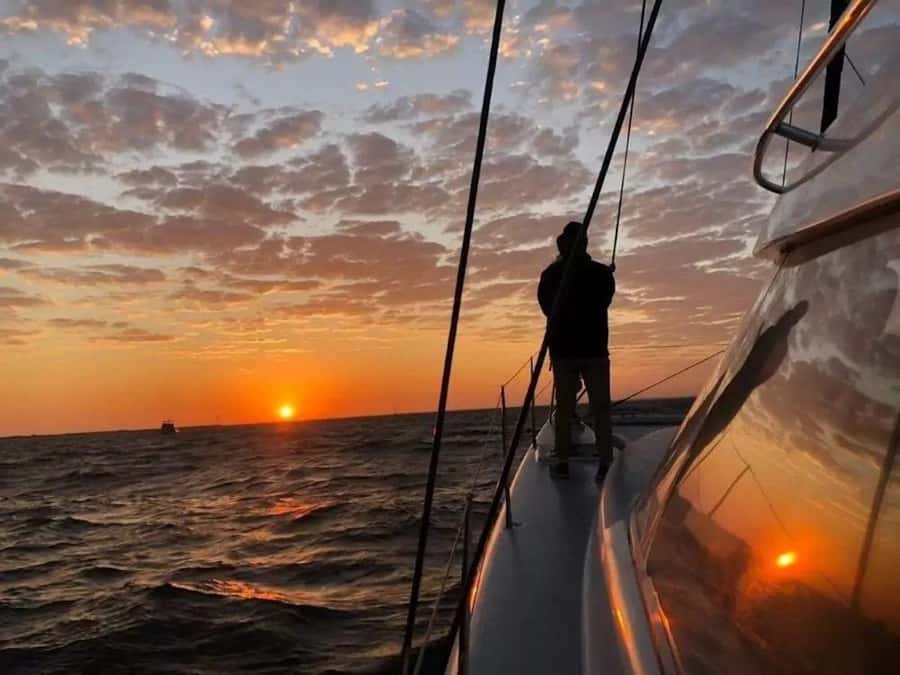Cape Town: Sunset Champagne Cruise - Wildlife is a bonus, not the itinerary