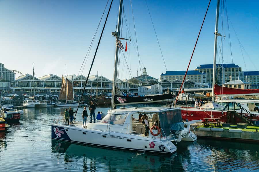 Cape Town: Sunset Champagne Cruise and 3-Course Dinner - Is $78 good value?