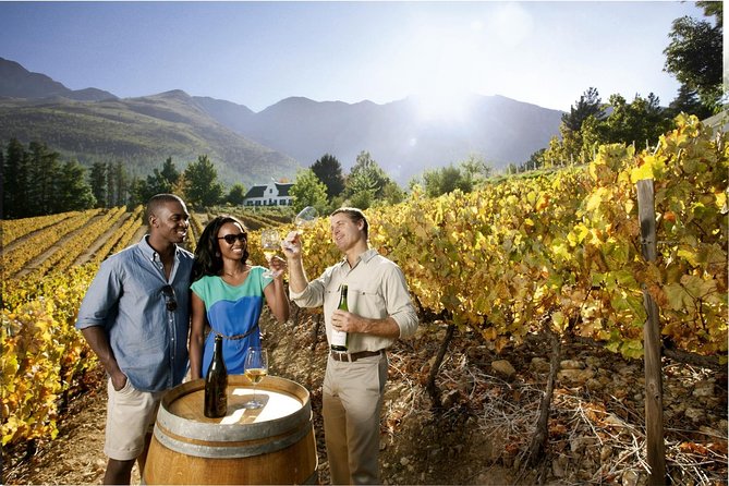Cape Town Super Saver: Cape Point Tour plus Wine Tasting in Stellenbosch - Key points at a glance