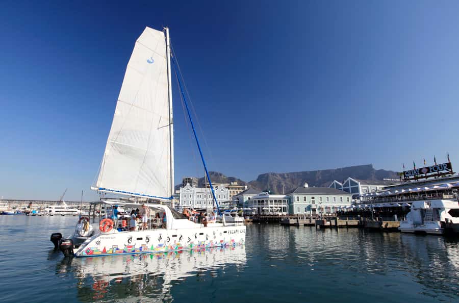 Cape Town: Table Bay Cruise by Catamaran - Table Mountain from a new angle