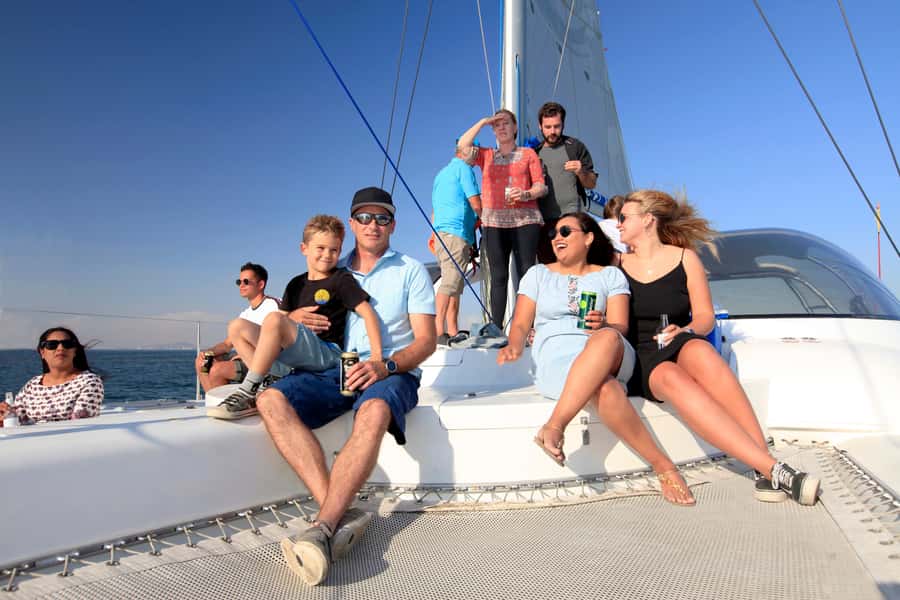 Cape Town: Table Bay Cruise by Catamaran - Watching for dolphins, seals, and penguins