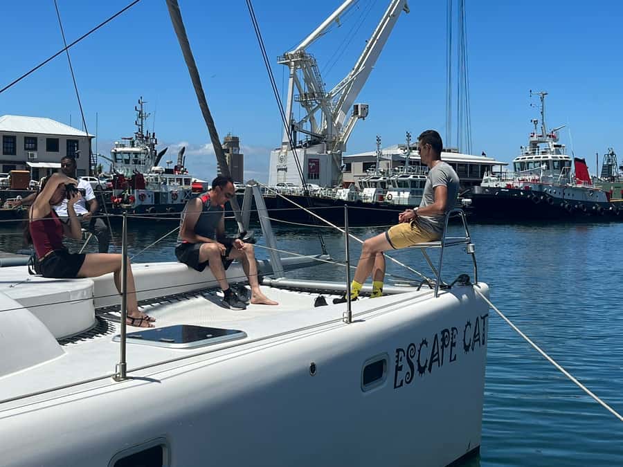 Cape Town: Table Bay Cruise by Catamaran - The crew’s role makes the difference