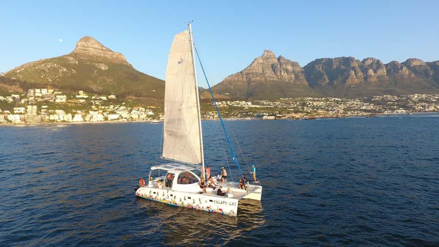 Cape Town: Table Bay Cruise by Catamaran - Choosing the best seat on the 39-foot Escape Cat