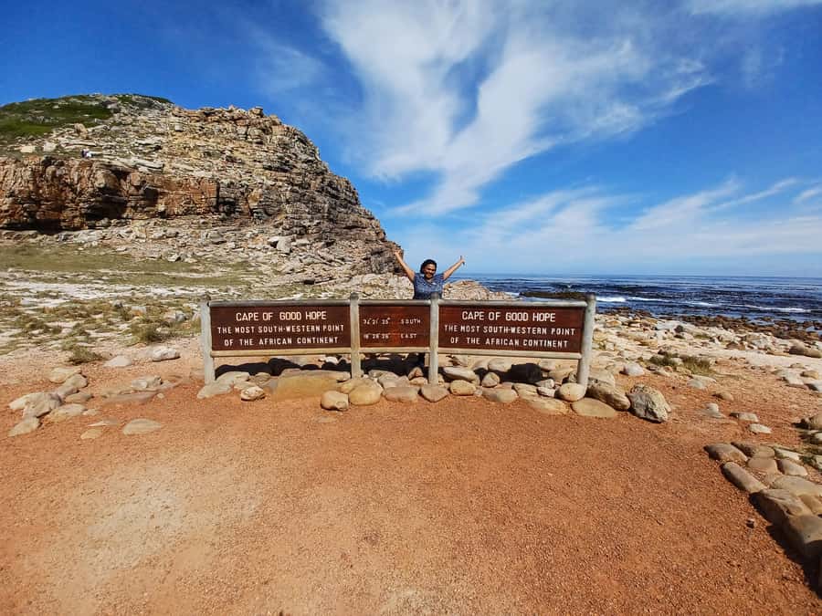 Cape Town: Table Mountain and Penguins Private Guided Tour - What the private guide adds