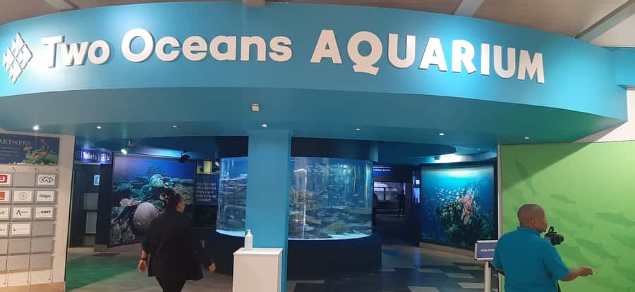 Cape Town: Table Mountain and Robben Island Tour - Key points before you book