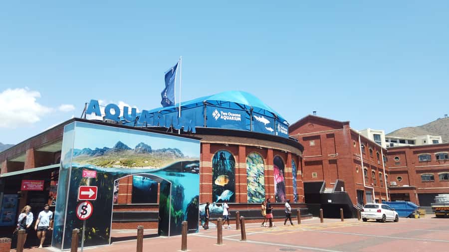 Cape Town: Table Mountain and Robben Island Tour - Who will get the most from this tour