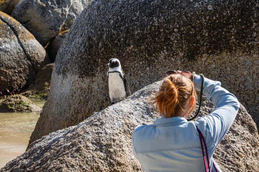Cape Town: Table Mountain & Cape of Good Hope Full-Day Tour - Table Mountain before the crowds and clouds