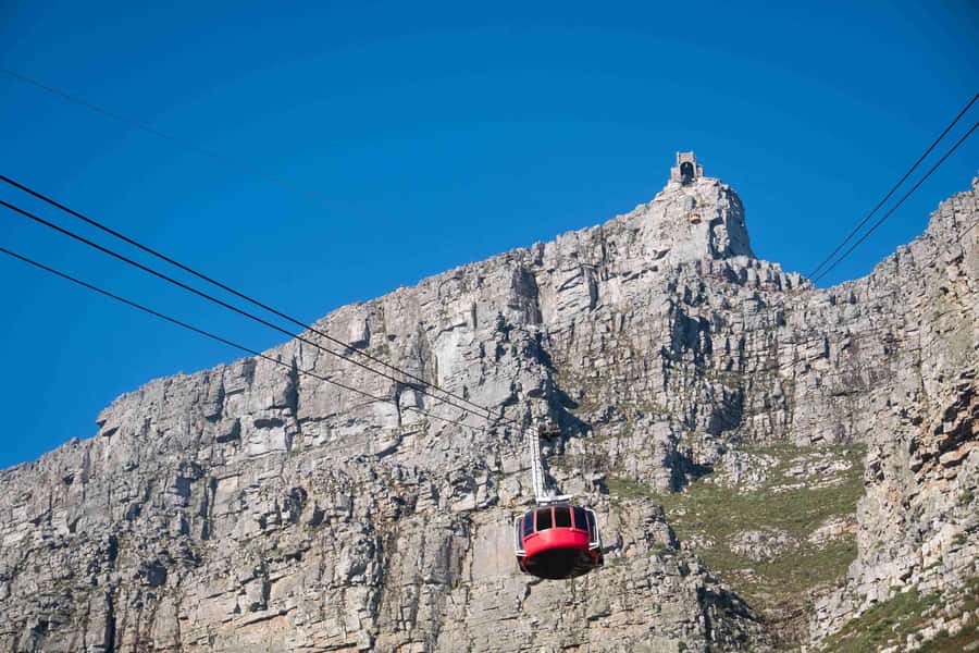 Cape Town: Table Mountain, Cape Point, and Penguins Tour - Table Mountain and the cable car decision