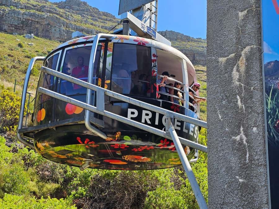 Cape Town: Table Mountain, Cape Point, & Penguins Group Tour - Key points to know before booking