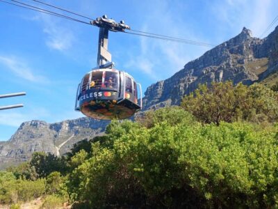 Table Mountain, Cape Point, & Penguins Group Tour
