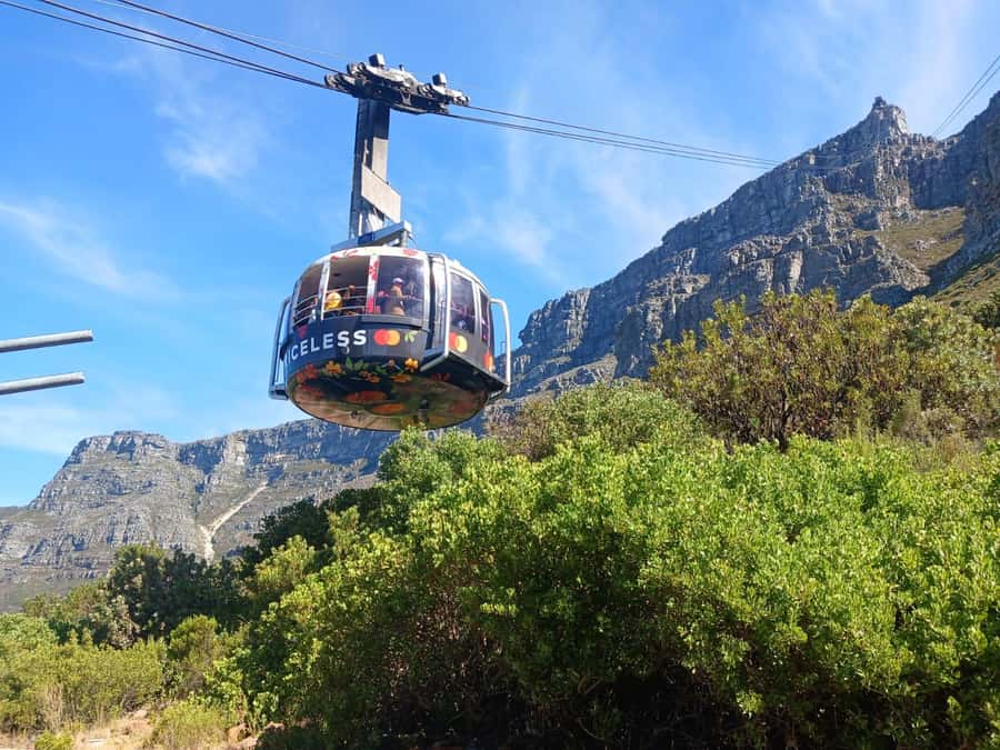 Cape Town: Table Mountain, Cape Point, Penguins Group Tour - Pickup in central Cape Town and the Bo-Kaap stop
