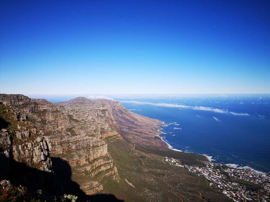 Cape Town: Table Mountain Half–Day India Venster Hike - A practical half-day plan
