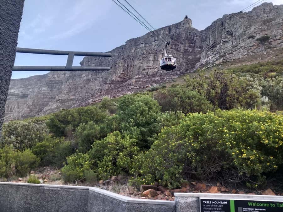 Cape Town: Table Mountain Half-Day Tour with Cable Car Ride - Should you book it?