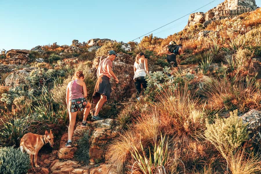 Cape Town: Table Mountain Hike via India Venster - India Venster gives Table Mountain some bite
