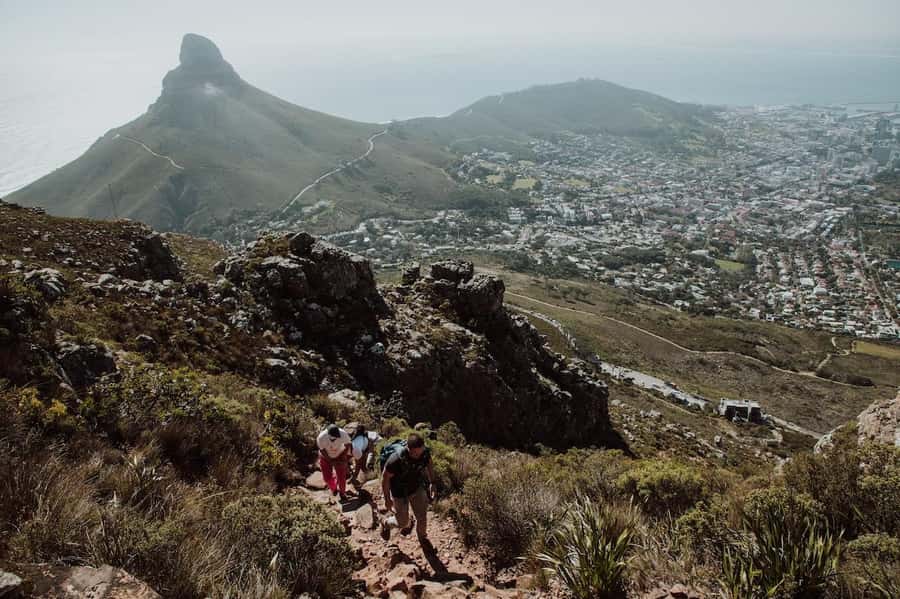Cape Town: Table Mountain Hike with an Experienced Guide - Why a guided Table Mountain hike makes sense
