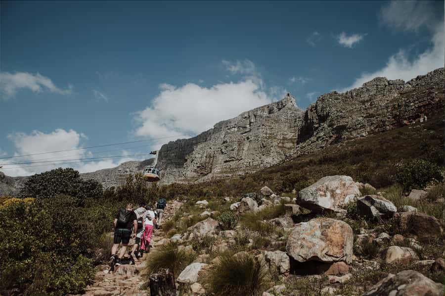 Cape Town: Table Mountain Hike with an Experienced Guide - Practical value, group size, and transport