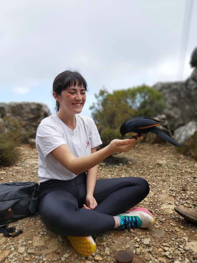 Cape Town: Table Mountain Hike with an Expert Guide - Key points at a glance