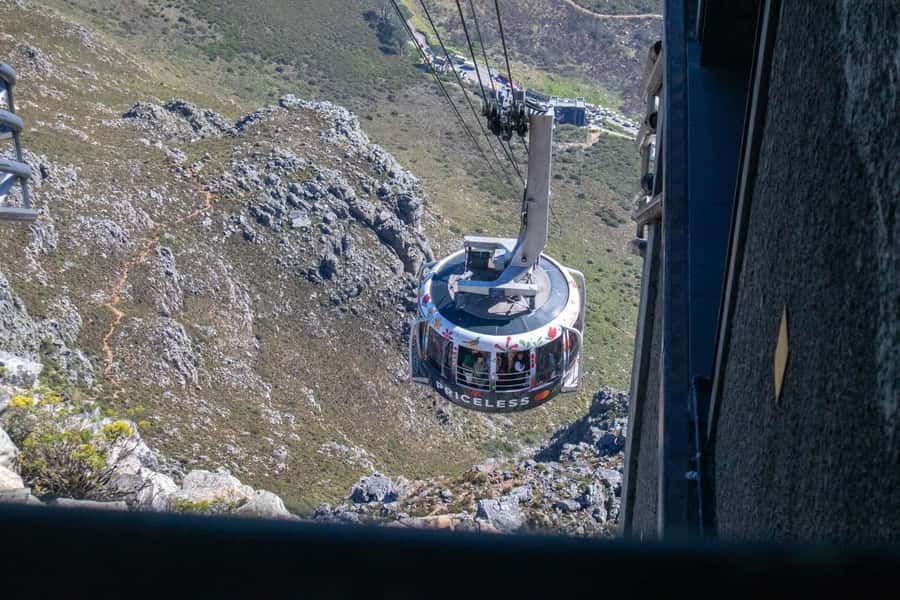 Cape Town: Table Mountain, Kirstenbosch Botanic Garden Tour - The guide can make or break a short tour