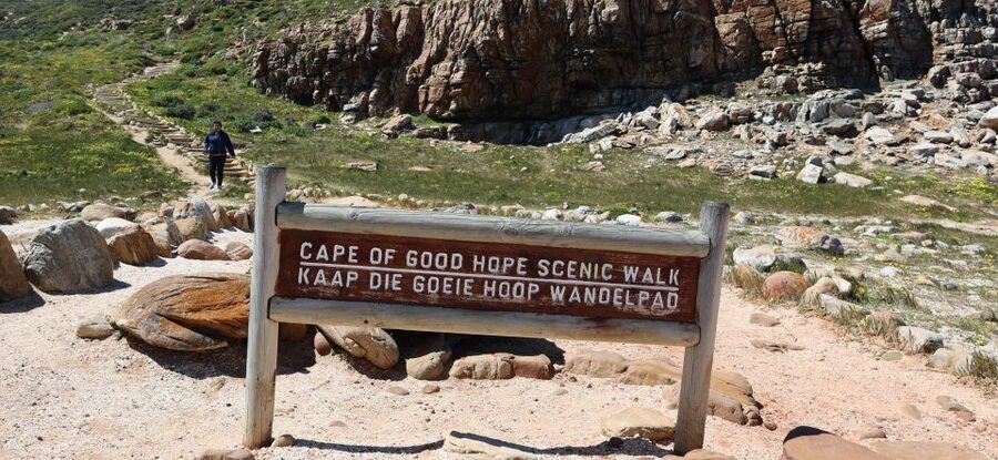 Cape Town: Table Mountain, Penguins & Cape Point Group Tour - Chapman’s Peak Drive, a road worth the seat by the window