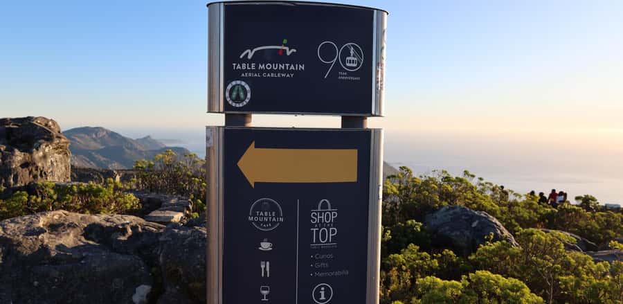 Cape Town: Table Mountain, Penguins & Cape Point Group Tour - Simon’s Town and the Boulders penguins
