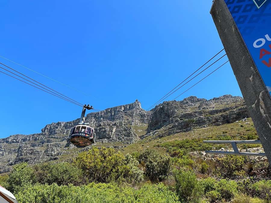 Cape Town: Table Mountain, Penguins & Cape Point Shared Tour - Camps Bay, Hout Bay and the Atlantic road