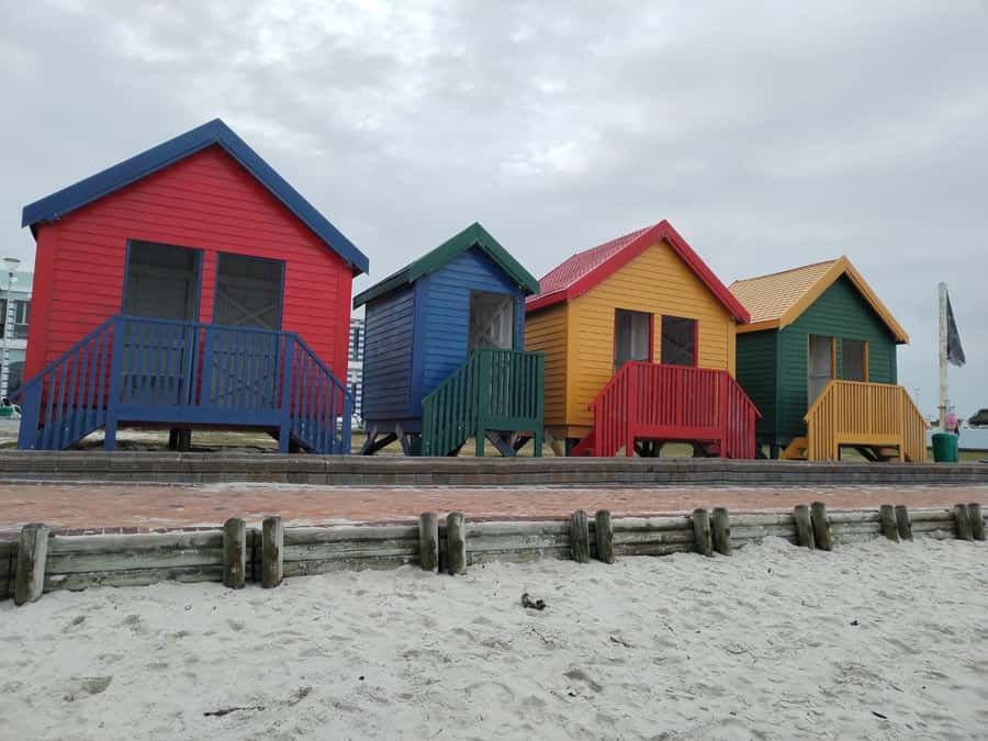 Cape Town: Table MT, Cape Point & Penguins Instagram Tour - Key points at a glance
