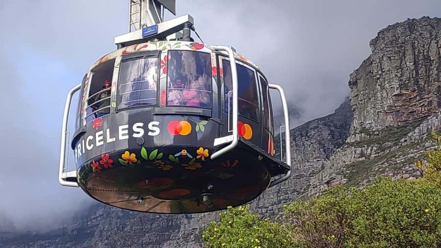 Cape Town: Table MT, Cape Point & Penguins Instagram Tour - Why this 10-hour route works