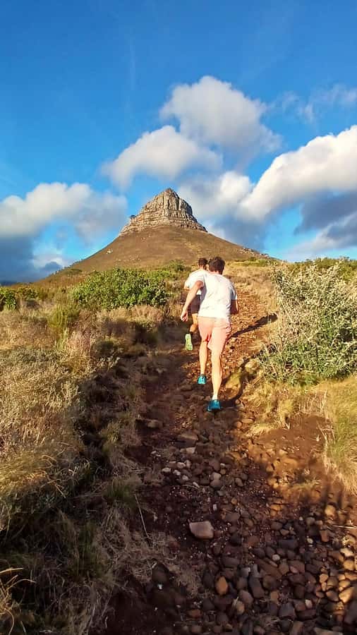 Cape Town: Trail Run Lion's Head and Signal Hill Morning - Timing, cancellation, and practical details