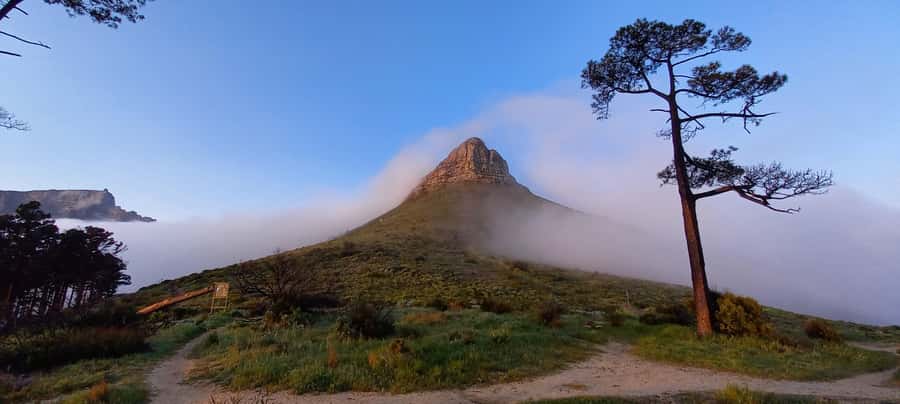 Cape Town: Trail Run Lion's Head and Signal Hill Morning - The gradual climb along Lion’s Head