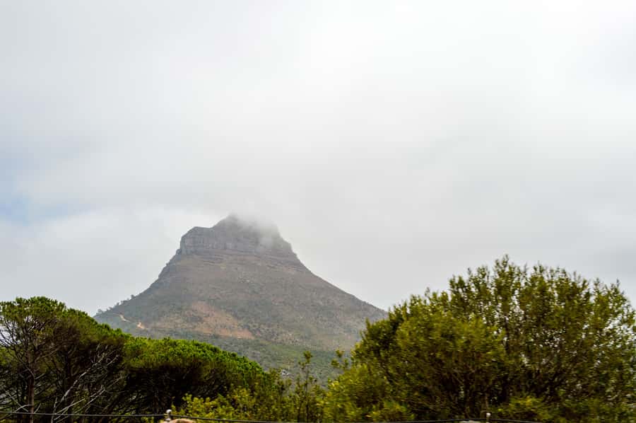 Cape Town Uncovered : Half-Day City Tour and Table Mountain - Table Mountain: the big opening sight